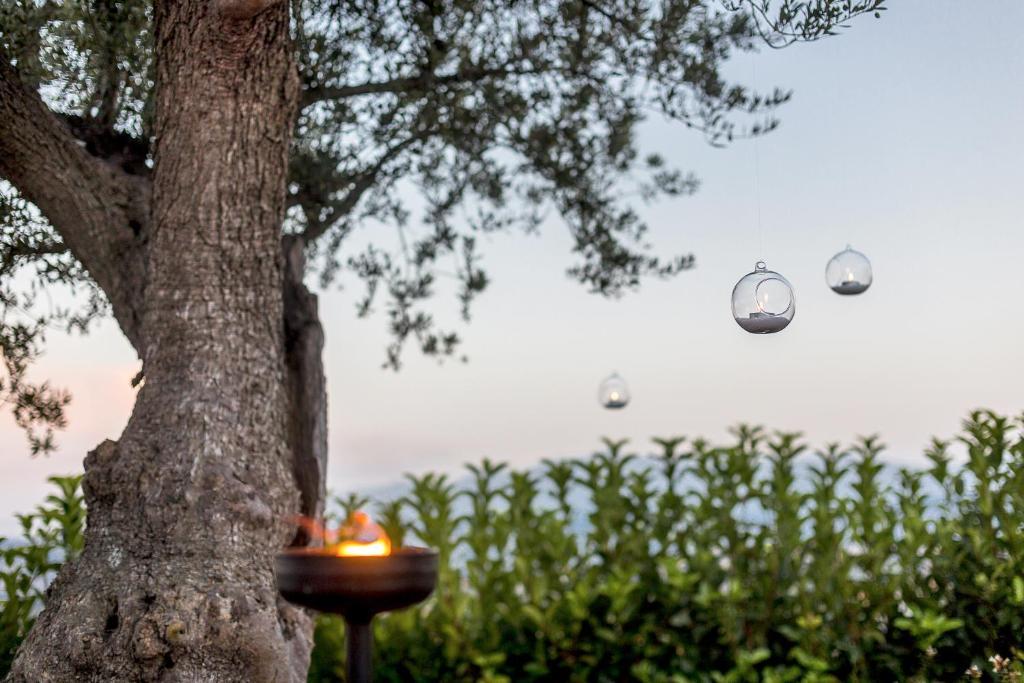 Casale Santa Maria Country House Mosciano SantʼAngelo Eksteriør billede